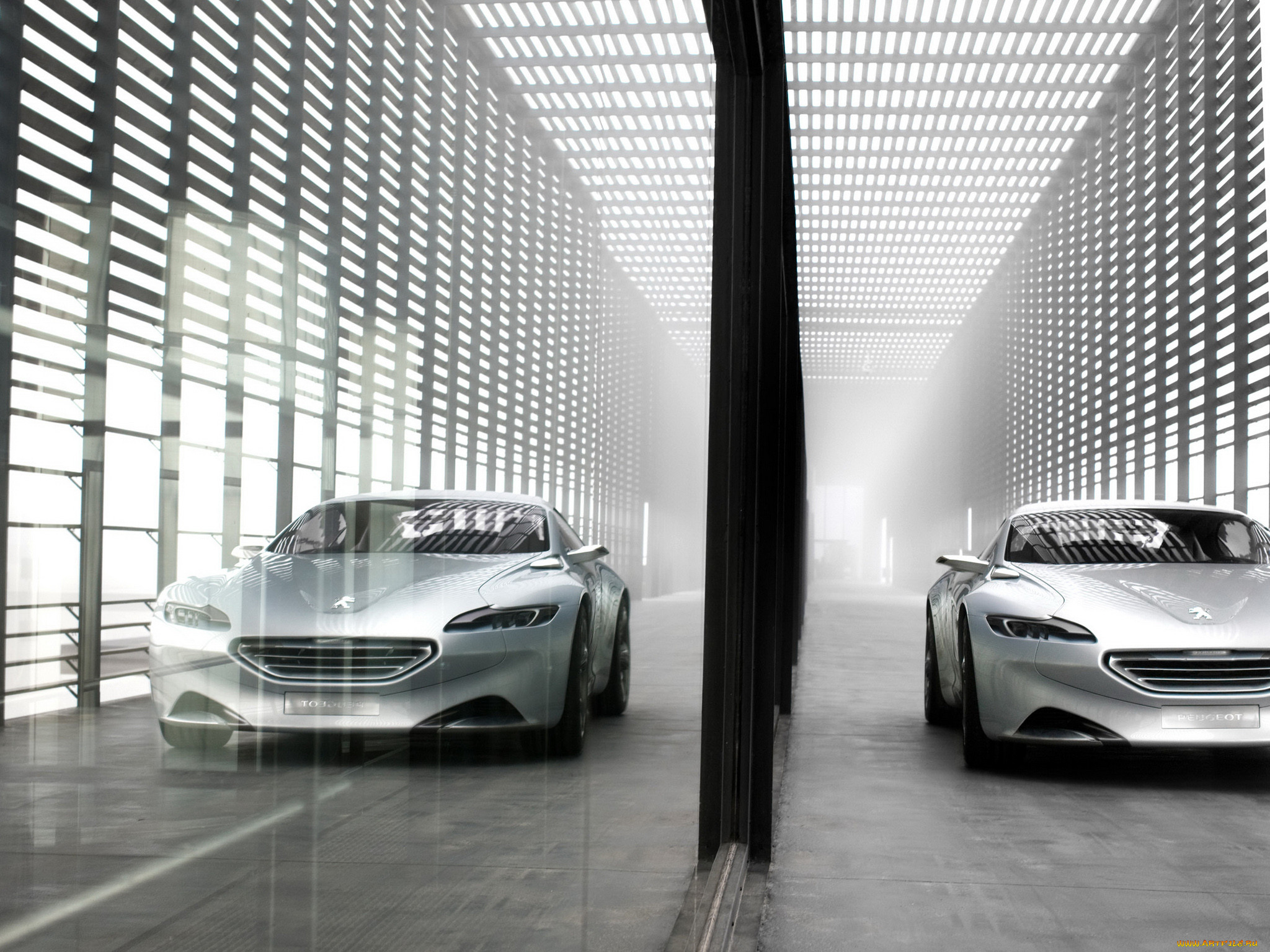 , peugeot